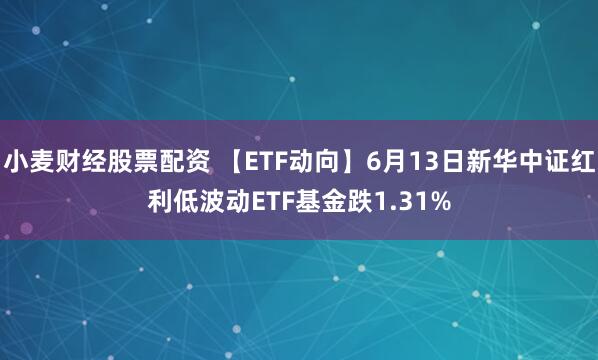 小麦财经股票配资 【ETF动向】6月13日新华中证红利低波动ETF基金跌1.31%