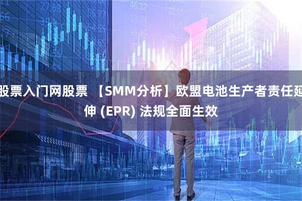 股票入门网股票 【SMM分析】欧盟电池生产者责任延伸 (EPR) 法规全面生效