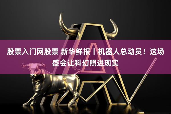 股票入门网股票 新华鲜报｜机器人总动员！这场盛会让科幻照进现实