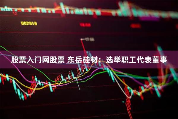股票入门网股票 东岳硅材：选举职工代表董事