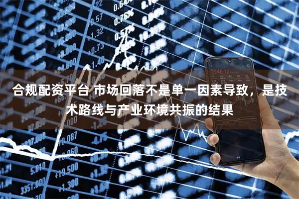 合规配资平台 市场回落不是单一因素导致，是技术路线与产业环境共振的结果